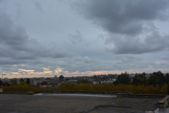 DSC_4310
