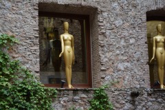 DSC_4629