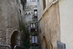 DSC_4805