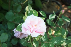 010d47e649e1dd74b5814798b41bad7ca7ab8f38a0