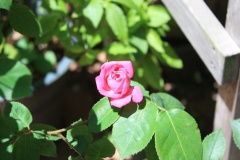 01106f73659784bf2c4178c5af658c47147ee1ad88