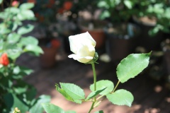 0117dbc762d2661b4139be3c75057e814409b3be1f