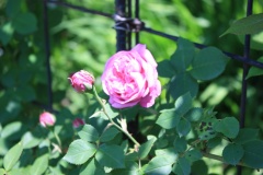 011cba5dc6b70b2d123156bba1bbcf847e60c0109b