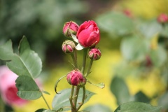 011fac8642f2464633154ad85bcad140c4b45f6ac1