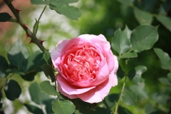 0128af7d3437d8b27a26a71315aab5fe7b7fb0f0e2