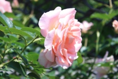 0134565d308053e042bbecff0b254836ac100e539d