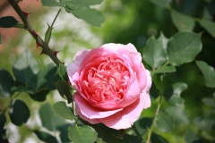 013959d717b15e6dbf9f0c136c8d8eecd047c0bd15