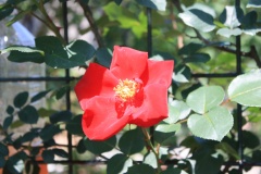 0142799e6e39664e1dbde98b3207a5699c956ff717