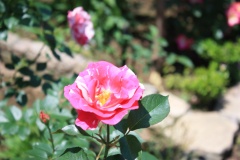 01474e0635e387af54e32a12f139e1103cb78e7571