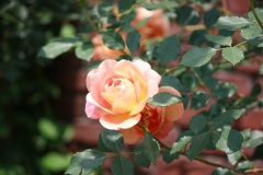 0150ef4700107e2cb303095cbb3e74e165d74e9a5d