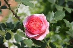 0195cf353ba90800d467d7b7d7ae2c00918cd4bc4f