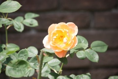 01be7dae51c019545b7970aa2bf5176c0a2d28e1ad