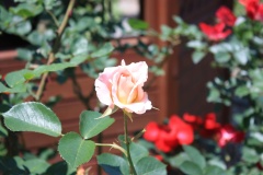 01c6a27c9ddfa7f7a34225edbf83e76f0e9b4e1aae