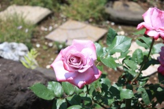 01c883c44fc84a0e0adcd8531d3a2b8b2790529a9c