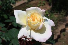 01c8d6a7d7e2caf27671ef61d9c1c6d352e9fd8c3e