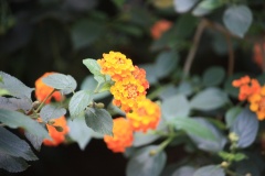 01e71ba236d2e5467b50c6af6f270c71496d2f3338