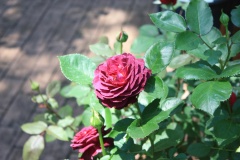 01fac3394833ac72e9fc5f49cd340c63fda91fc68e