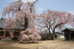 010ec3fab44ee2a6e56040487efae29fa50f5d5d8c