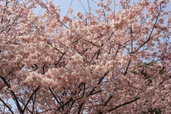 011d2ed8427bf0eae140d3d64f3d1ebc77a5e518c0