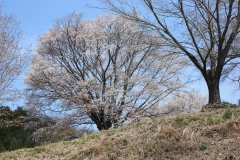 012936b8811dc228ac6947f12529d8d3f16ab58336