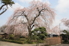 0129c980d10a27c07f4850340020d85420991d2512