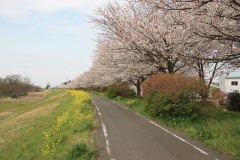 0130aa7039e6c5d35a83a067c3501323cdbf28a333