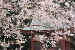 013b9837a9a87d7bd70af41be303e1d40b302d8742