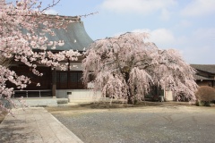 0140b87f580271149f6c6a6f5538cf93dd3bf3698d