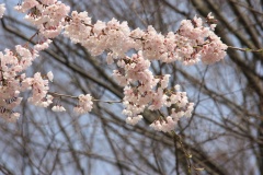 0144cbbf02e0f2690e206c773e44f724219f7f45bf