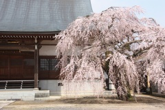 014e7471b8b891fc225757c5106ab058b9cba65165