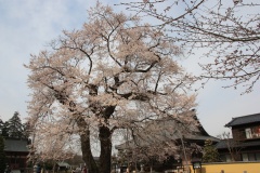 01501656868e6a503544fbe7742eb97e3483173db5