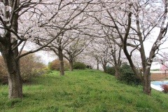 0151192721ea94cdb0a04a5bfe16035dd501cd85d7