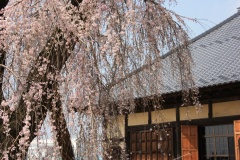 015d31268746daf08fad788cceef494a92ec616859