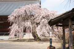 016d9dba902749241078e43467824abe4931dfe9f1