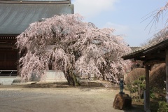 01753ba6a7714ccdc173d23d3df49378d955bf3dc6