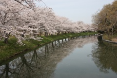 017cbe0bbe8a20f3a55c5e0c4f251e197082021927