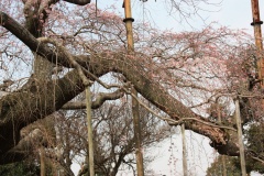 017cc3fecea556b7047c0bd313c6409df4357e6adf