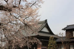 017d0d64eba0222a70cf436138d2a35f4029ae8d17