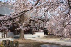 018a3a2be0c1b0cfb7ba989e73a52d98078ef461c9