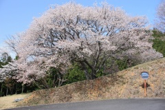 018e1356d41bb3307921a8533037dc0b3aa5028958