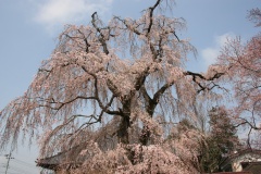 01a51c0e48c4c8bf74f26bf0f8085acb0ba4798542