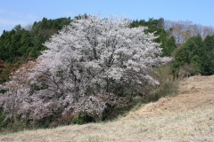 01a5f6ae4aad8f4576b52f2984be1a9caab4364808