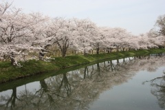 01a9dba1e1815d8a6661aa6f35f863e6e896e82925