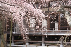 01bbd41058061f3cdf33bba5ecb472da85c9bfafad