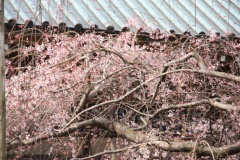 01c6e6e7c7ab159f0b5863ac55ed95dc0fa279fe6c