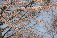 01d6add8c41d3fb5e4a022b401859bccbf04264753