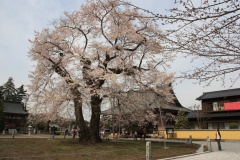 01dffa70ee622e8262af21d2f5ceff1ee31bb55cf4