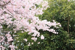 01e408ff15da5fd8e9ad912cfdd0d59a2a3d5dbb23