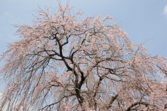 01e69c3e51d598211fe3cc79b7091eb9a1b5ca0734